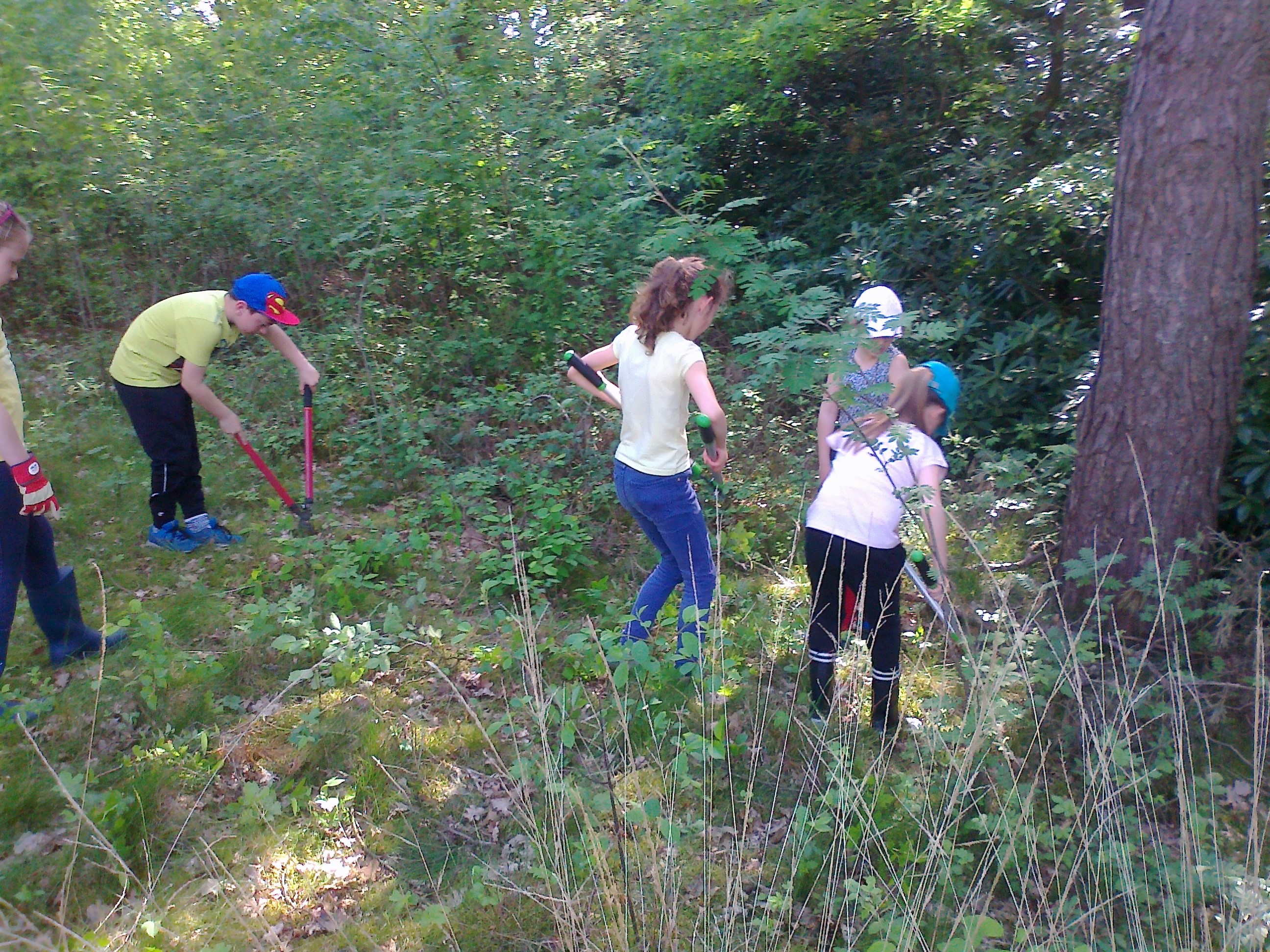 Werken in het Griesbroek samen met de mensen van Natuurpunt.